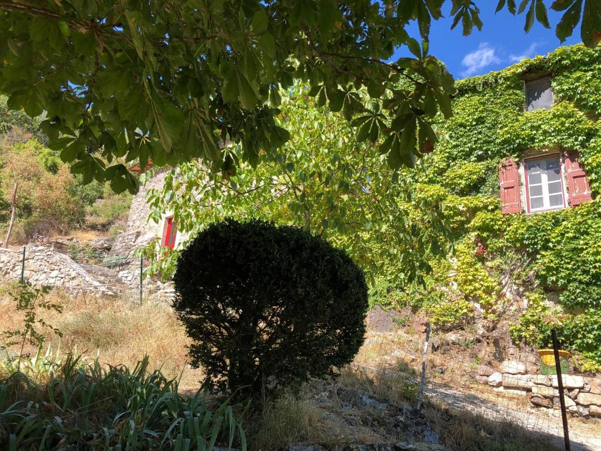 La Calade De Craysoules Βίλα Bassurels Εξωτερικό φωτογραφία